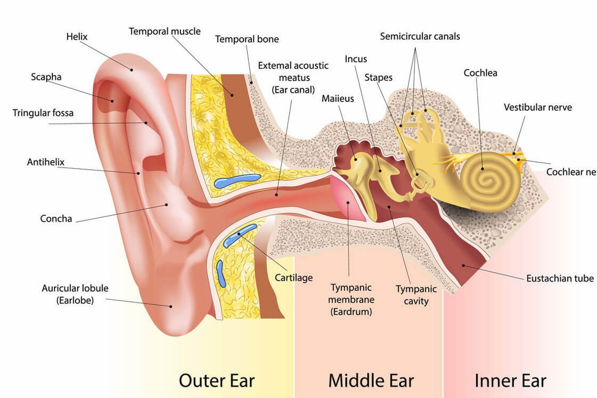 Ear Pain Causes