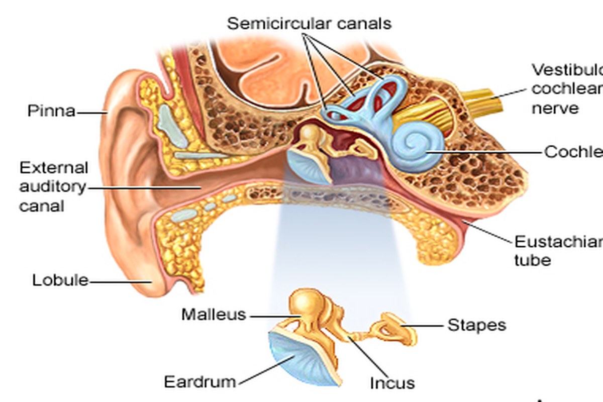 Ear Pain Causes